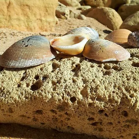 Olhos Do Mar Lägenhet